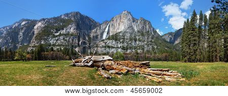 Çürüyen bir ağaç ile alt ve üst Yosemite Falls ön plana gösterilen Yosemite Vadisi panorama