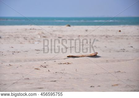 Sand On The Ocean Background At Arichal Munai, Dhanushkodi, Tamil Nadu, India