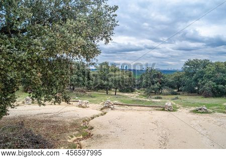 View Of The City Of Madrid, From El Pardo  Forest