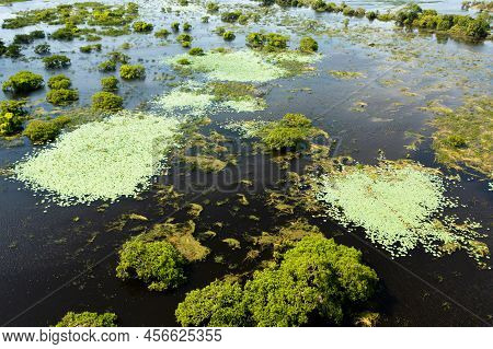 Aerial View Of Lake With Tropical Vegetation In Kumana National Park. Sri Lanka.