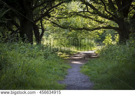 View On Hiking Path In Nature Park Oude Landen In Ekeren, Near Antwerp, Belgium. Beauty In Nature.