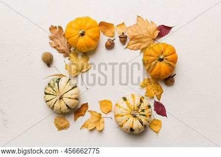 Autumn Composition Pumpkins With Fall Leaves Over Coloredbackground. Top View With Copy Space.