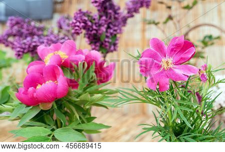 Floral Arrangement With Pink Peonies Virgilius And Lilac Branches.