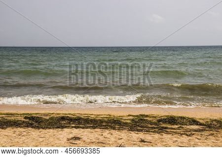 A Sea Of Azov Landscape With Dirty From Algae Shore After Storm, Ukraine