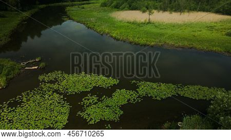 Yellow Water Lilies On The River In The City Park. Flying At Low Altitude. Aerial Photography.