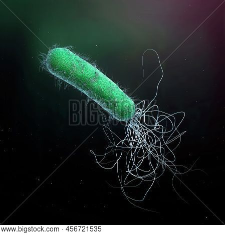 Single Green Colored Multiple Antibiotic Resistant Pseudomonas Aeruginosa Bacterium - 3d Illustratio