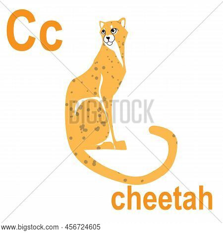Cheetah Is A Predatory Cat, Abc Banner. Postcards And Posters With The Alphabet. Design Of A Childre