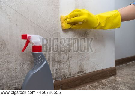 Close-up Of A Woman's Hand In Yellow Rubber Gloves Cleans The Wall Of Black Mold With A Special Anti