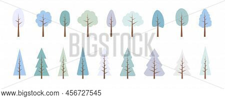 Trees Set. Vector Flat Winter Trees, Forest. Collection Snow Elements, Various Blue Trees, Bushes. N