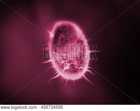 Protozoa Or Micro Organism Colored In Dark Red - 3d Illustration