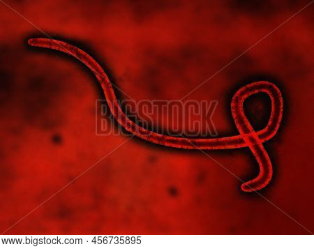 Ebola Virus Pathogen Cell On A Red Background -  3d Illustration