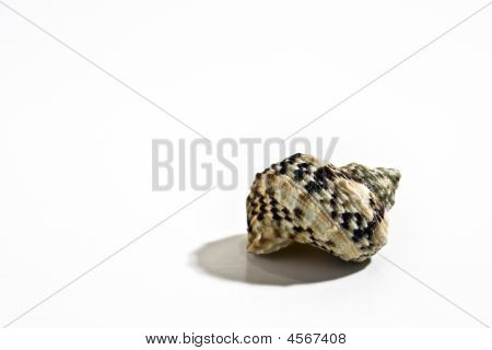 Море