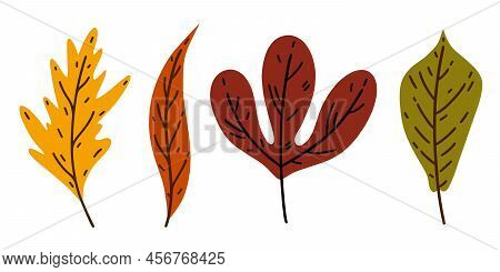Bright Autumn Leaves Vector Set. Hand Drawn Sketch Of A Forest Plant. Leaves Of Garden And Wild Tree