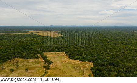 Rural Area With Agricultural Land And Rice Fields In Sri Lanka Aerial View.