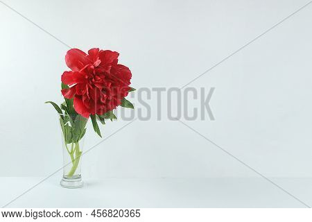 Bouquet With Peony In A Vase, Flower Arrangement, Minimal Abstract Background For Cosmetic Products 