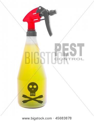 Spruzzatore di plastica con insetticida. Foto con spazio per il vostro testo.
