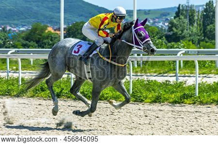 Pyatigorsk,russia - June 19,2022:the Race For The Prize Of The Restrictive ,northern Caucasus.ahead 