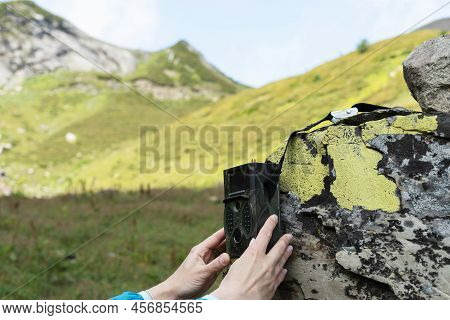 Female Hands Of Scientist Biologist Zoologist Sets Camera Trap For Observing Wild Animals In Summer 