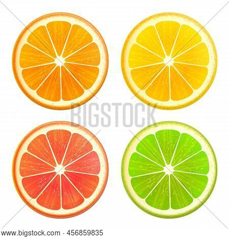 Fresh Citrus Fruits Slices Set. Orange Grapefruit Lemon Lime Top View Isolated Realistic Vector Illu