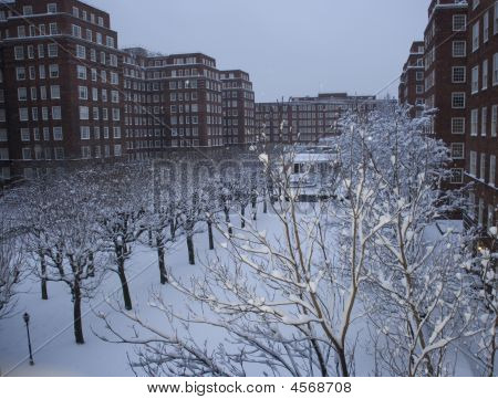 Dolphin Platz im Schnee