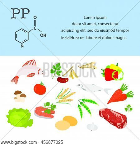 Vector Illustration Vitamin Pp Sources. Healthy Food Enriched With Vitamins Essential For Protein Me