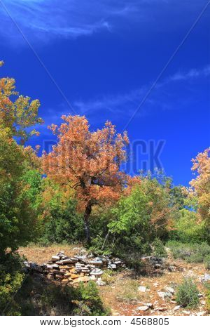 Zagoria