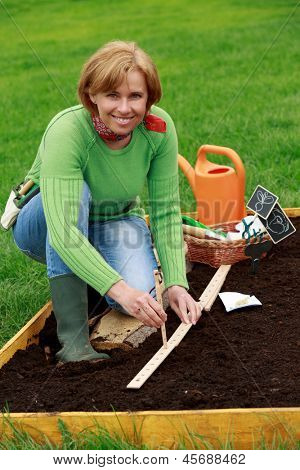 Jardinagem - mulher semear ervilhas açúcar no solo