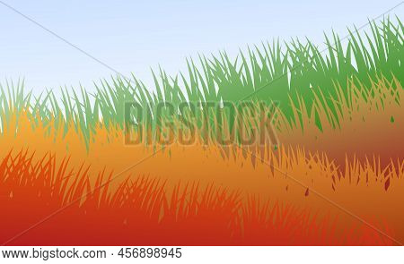 Grass. Nature Rural Landscape. Pasture Overgrown. Overgrown Dense Lawn. Vector