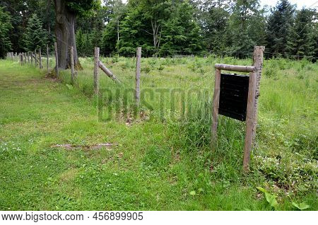 Monitoring And Capture Of Bark And Wood-destroying Insects Using Pheromone Baits, Which Are Hung Ins