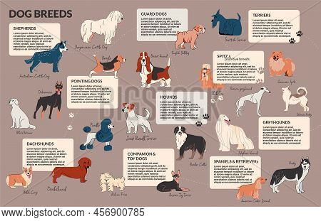 Dog Drawing Outline Infographics With Isolated Doodle Style Images Of Dog Breeds With Editable Text 