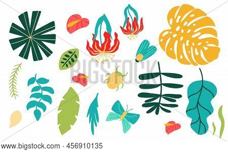 Jungle Leaves Set. Tropical Leaves Flowers Isolated Elements, Bugs, Butterfly Summer Tropic Collecti