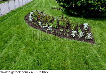 Planting Perennials In Flower Beds. Annual Rebates Are Various Crescent Trees Cut Between The Terrai