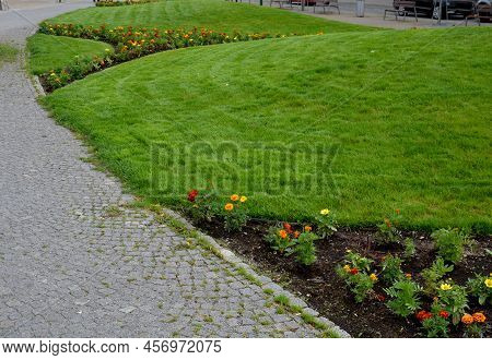 Planting Perennials In Flower Beds. Annual Rebates Are Various Crescent Trees Cut Between The Terrai
