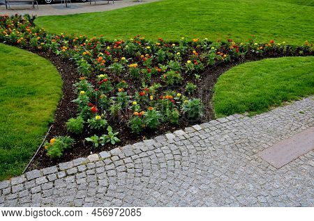 Planting Perennials In Flower Beds. Annual Rebates Are Various Crescent Trees Cut Between The Terrai