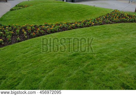 Planting Perennials In Flower Beds. Annual Rebates Are Various Crescent Trees Cut Between The Terrai