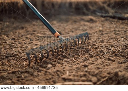 Loosening The Soil With A Rake In The Greenhouse. Close Up Of An New Metal Garden Rake Cleaning Eart