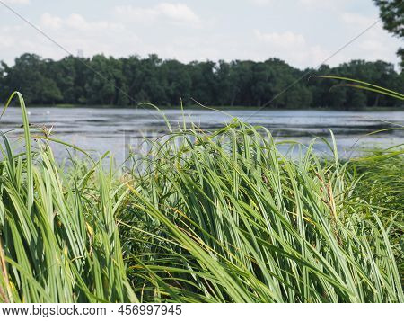Kleiner Dutzendteich Lake In Nuernberg