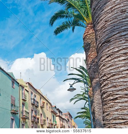 Old Facades