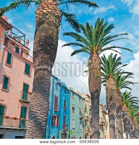 Palm Trees And Old Buildings In Bosa