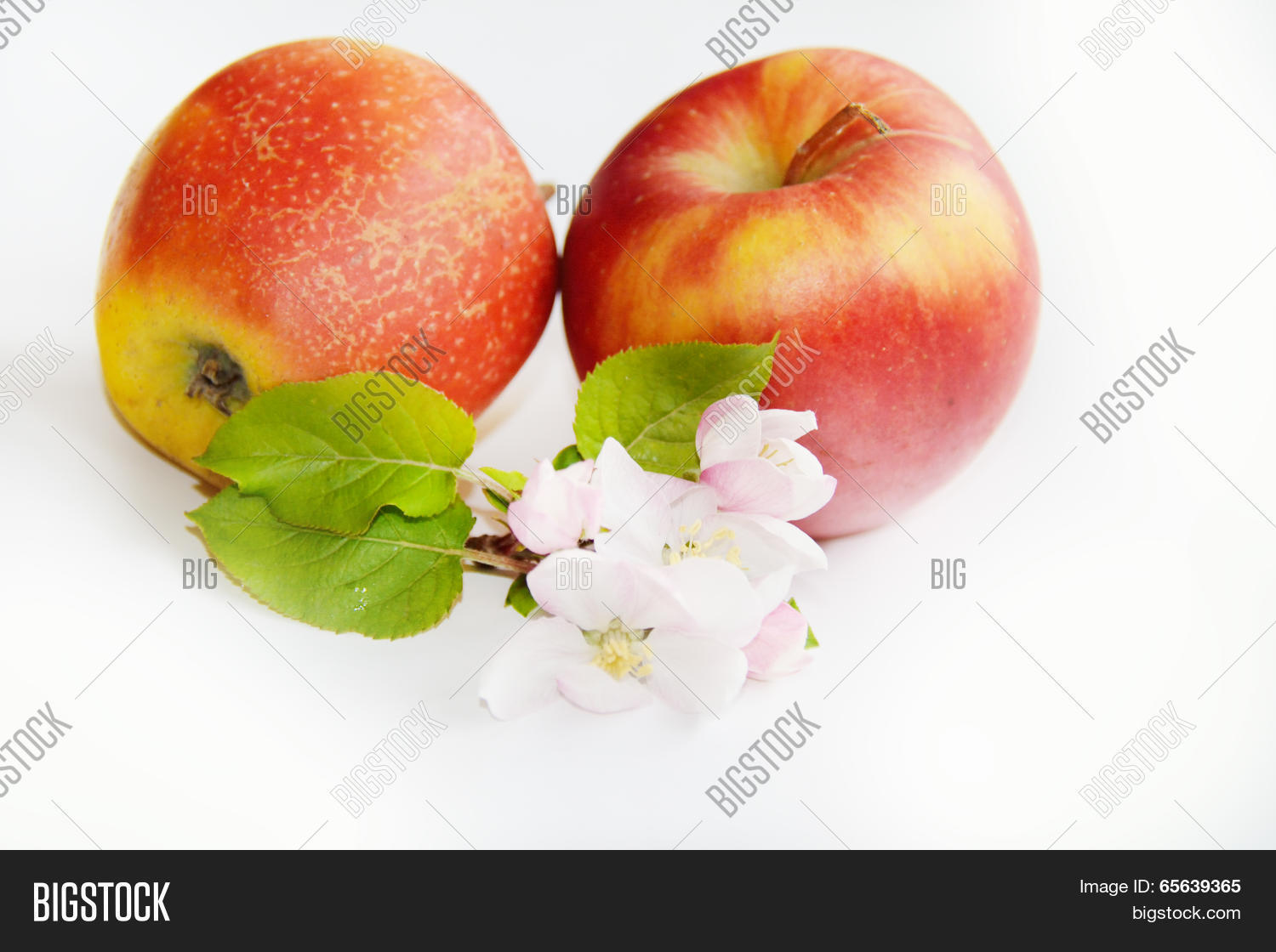 Image Preview