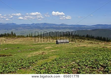 Mountain