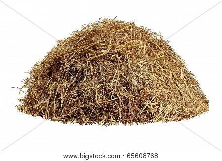 Hay Pile