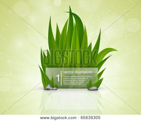 Green grass