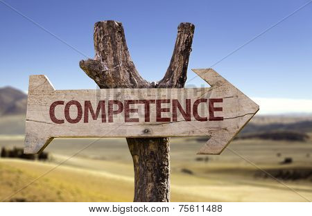 Competence wooden sign with a desert background