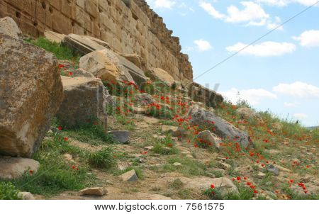 Pedaço de parede em Pasárgada perto de Persépolis, Irã