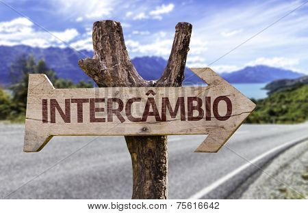 Exchange Program (In Portuguese) wooden sign with landscape background