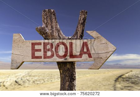 Ebola wooden sign with a desert background