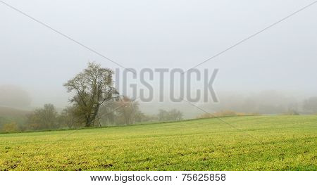Misty Autumn Scenery