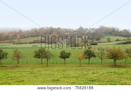 Misty Autumn Scenery