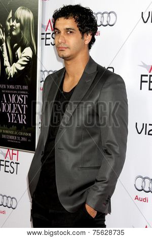 LOS ANGELES - NOV 6:  Elyes Gabel at the AFI FEST 2014 Screening Of 